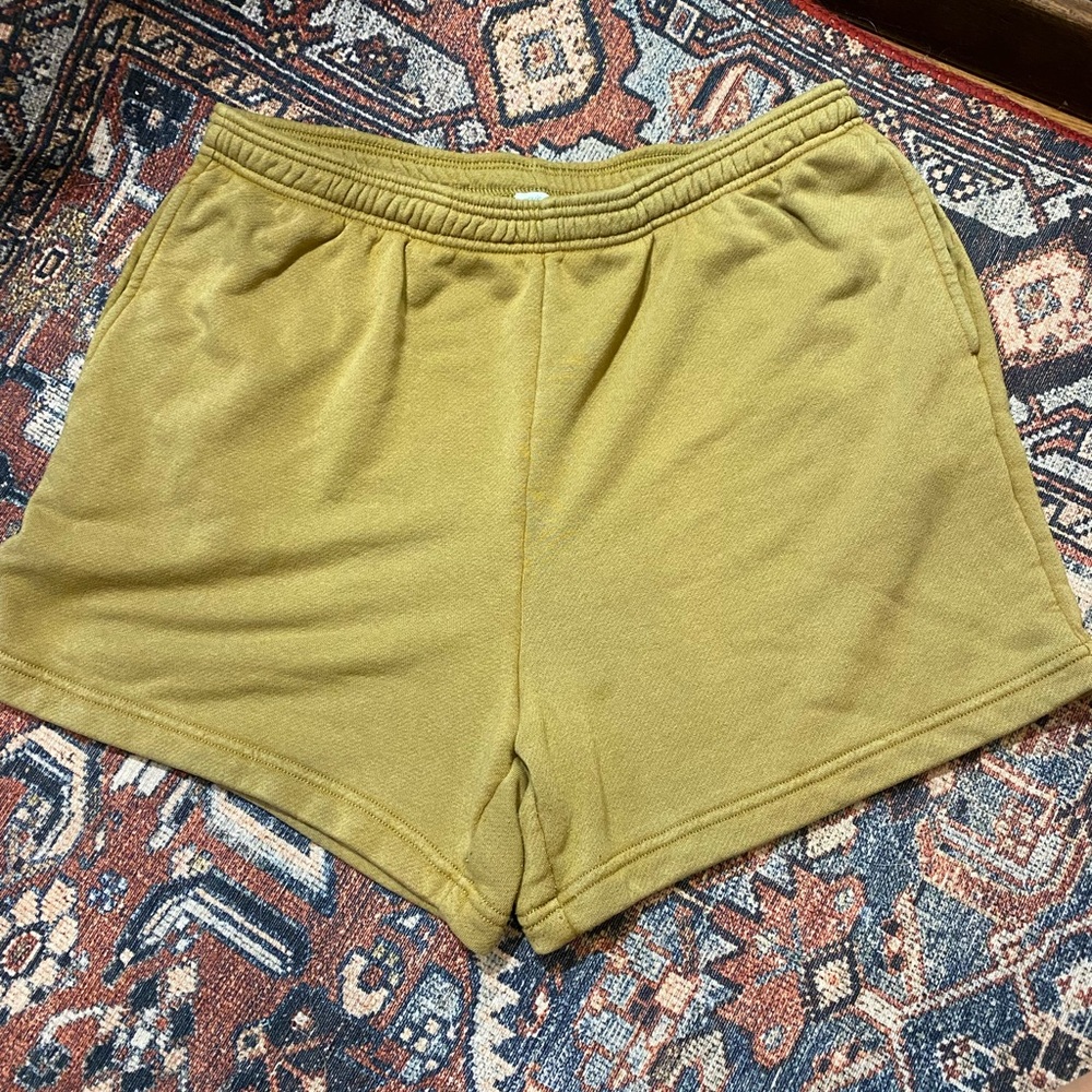 Aerie Shorts